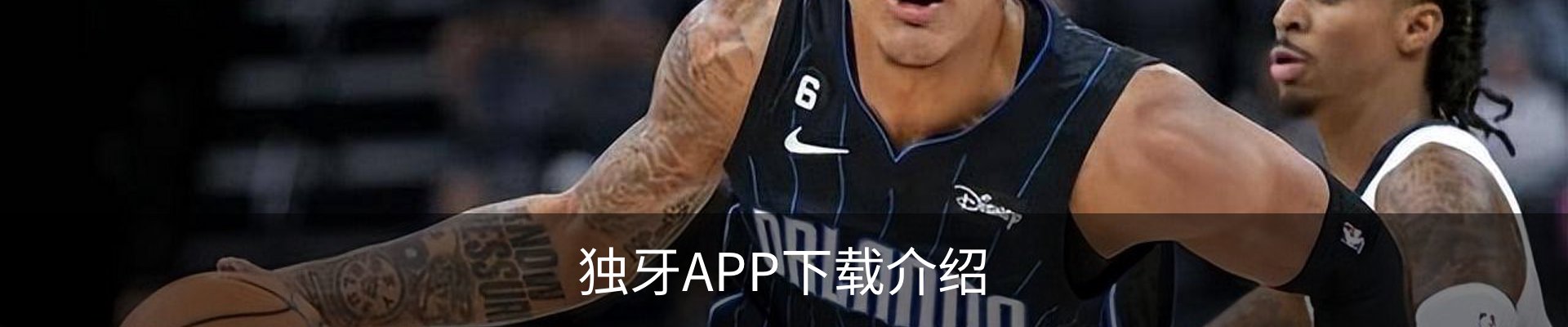 独牙APP下载介绍